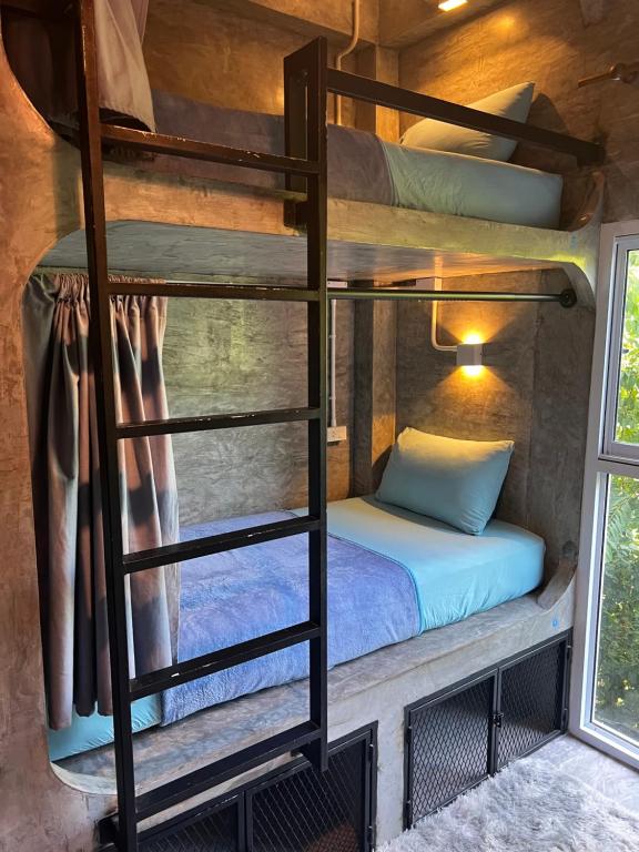 Wonderland Jungle Hostel - 17