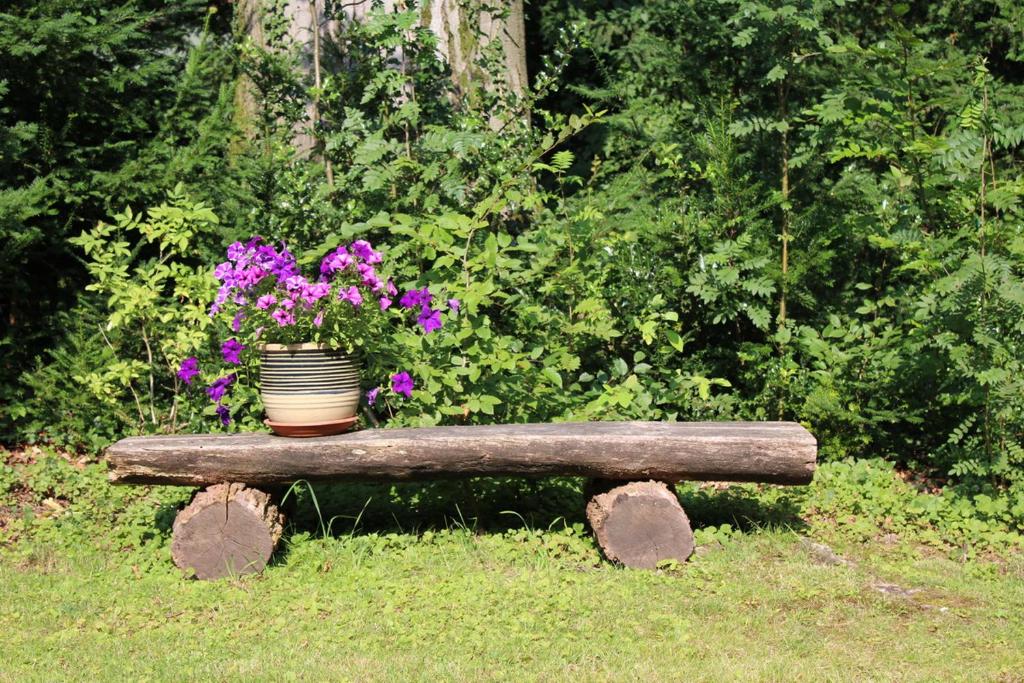 Zahrada ubytování Forstgut Stübeckshorn