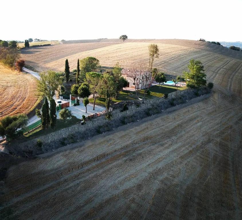 an aerial view of a field with trees and a road at B&B Oliwia in Monte San Giusto