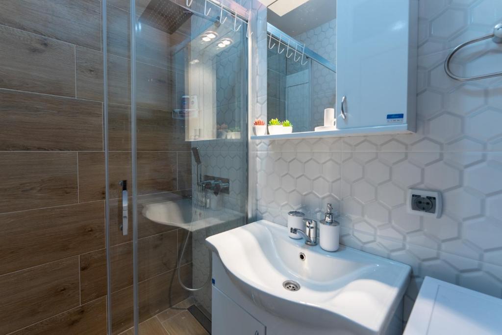 a bathroom with a sink and a glass shower at Apartman Konak in Arandjelovac