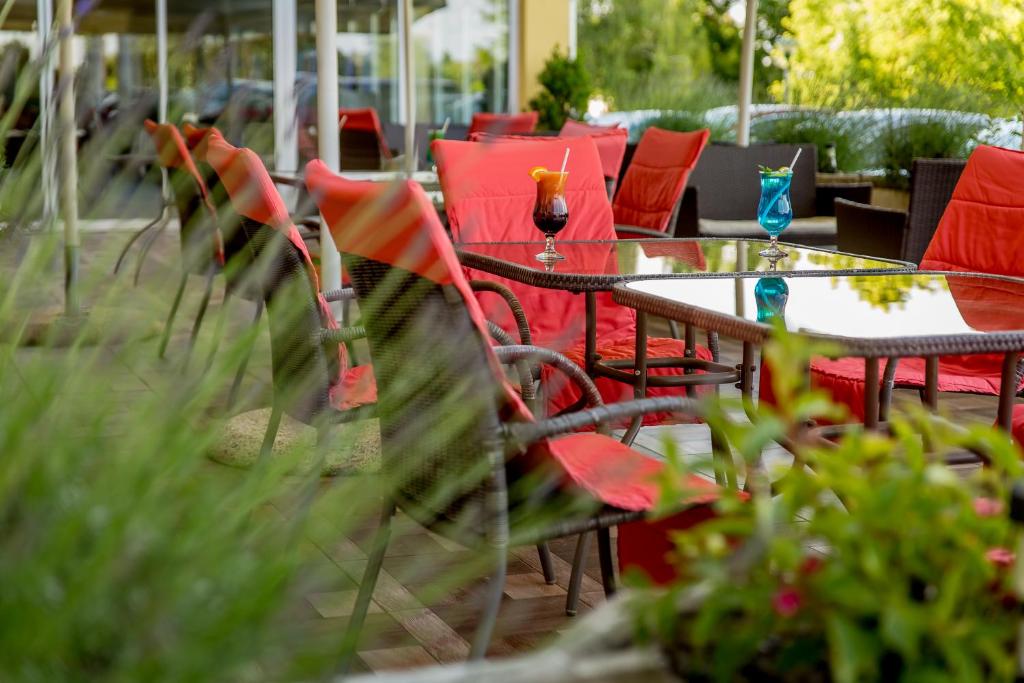 Zahrada ubytování Aphrodite Hotel