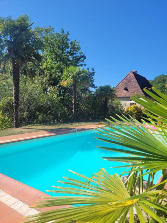 une piscine avec des palmiers et une maison dans l'établissement Le Baron Perché, à Saint-Cyprien