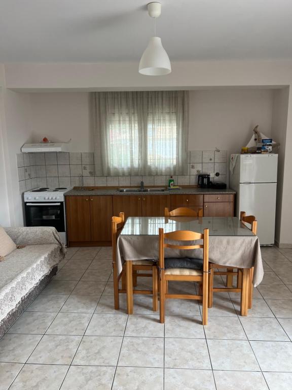 Kuchyň nebo kuchyňský kout v ubytování Alexandra' s Apartments