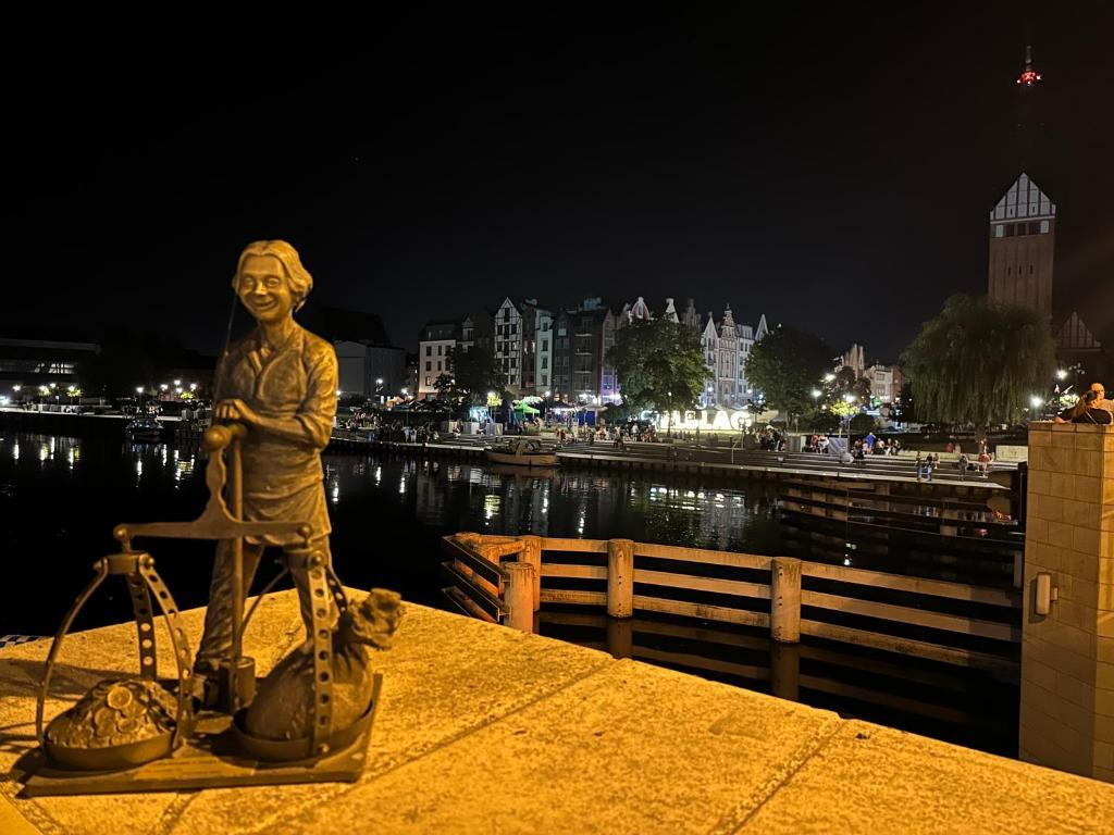 Starovka Apartament - 7