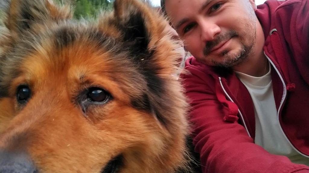 Zwierzęta zatrzymujące się w obiekcie Rezydencja Ostoja