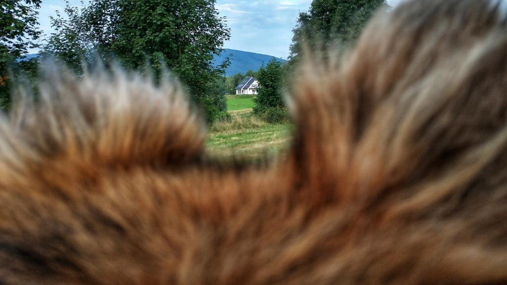 Przyroda w pobliżu tego obiektu B&B