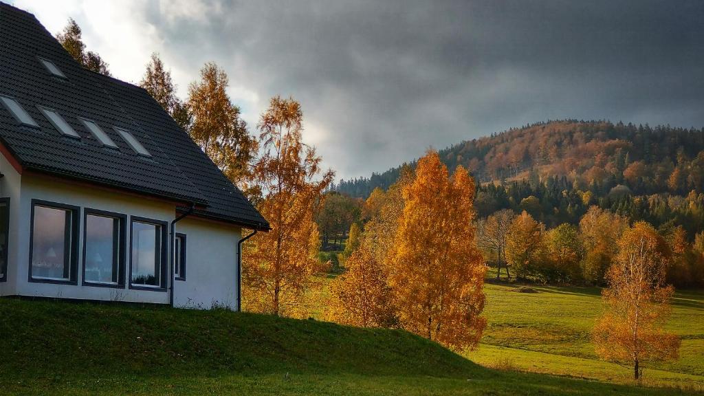 a house on top of a hill next to a forest at Rezydencja Ostoja in Stronie Śląskie