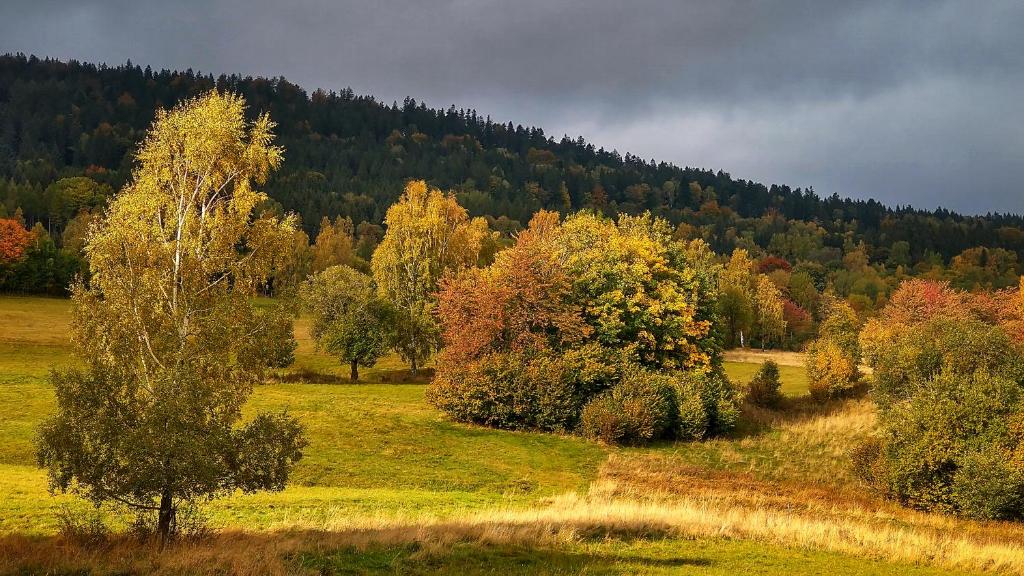 Przyroda w pobliżu tego obiektu B&B
