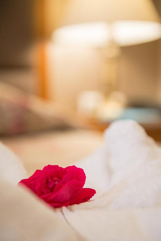 Postel nebo postele na pokoji v ubytování Hotel Aethria