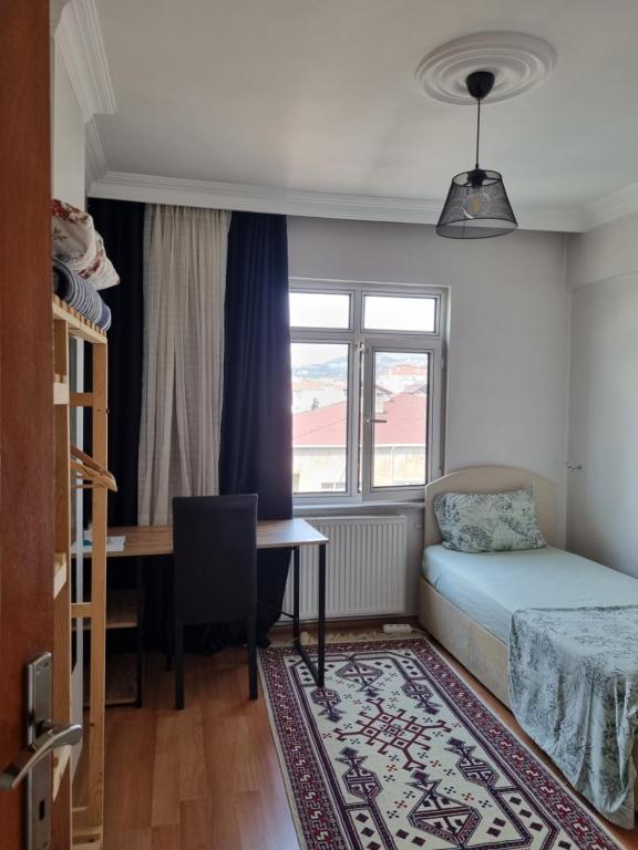 Single Room, одноместная комната в доме, chambre d’une personne, Habitación individual