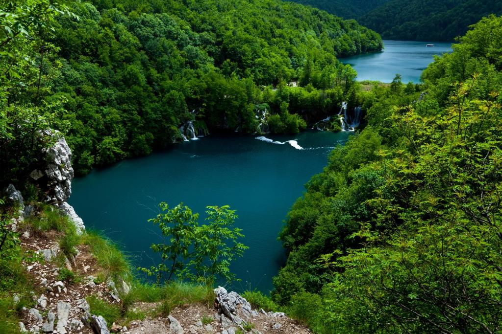 Apartman & Sobe Orhideja - 7