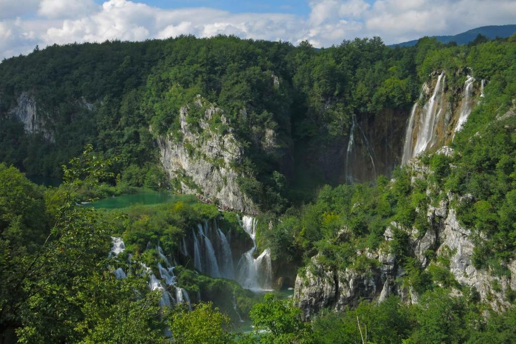 Apartman & Sobe Orhideja - 10