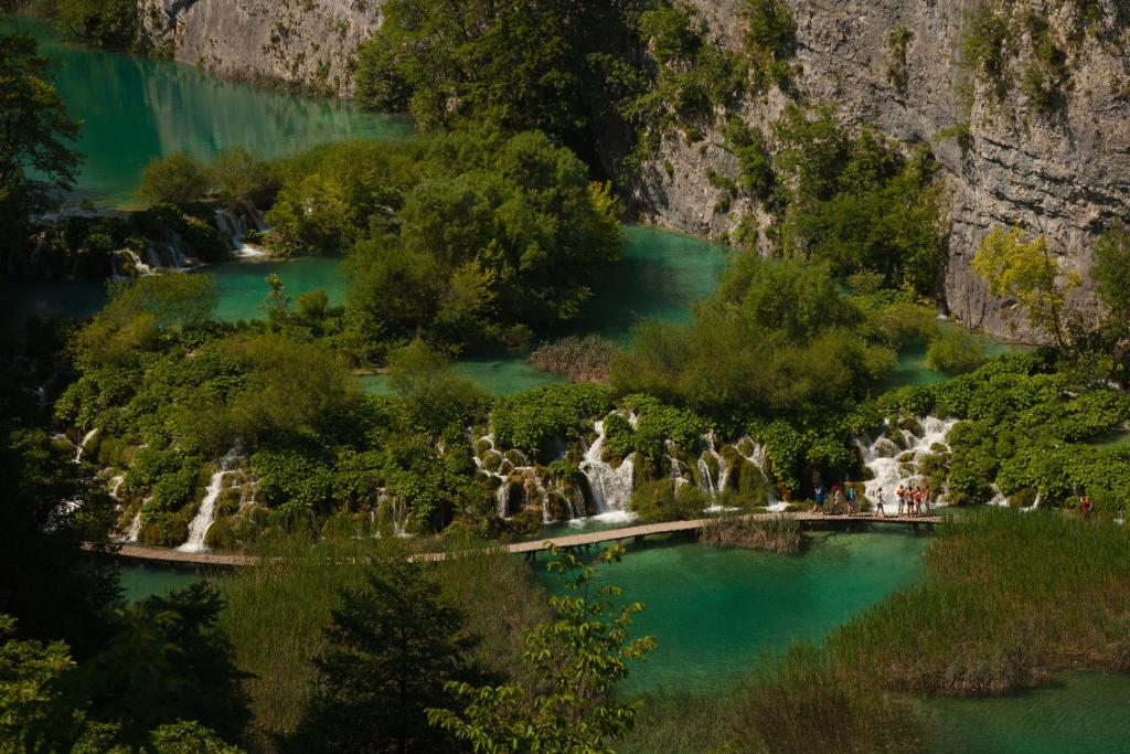 Apartman & Sobe Orhideja - 8