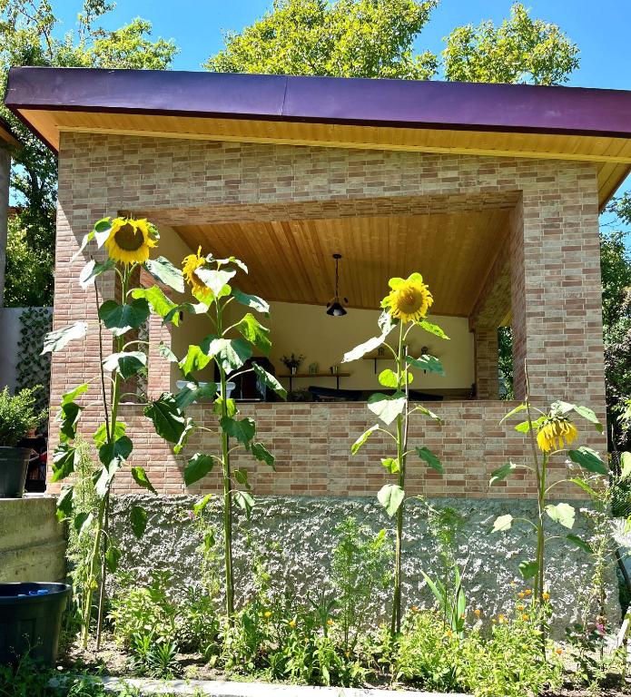 Zahrada ubytování Cottage in Racha Mero