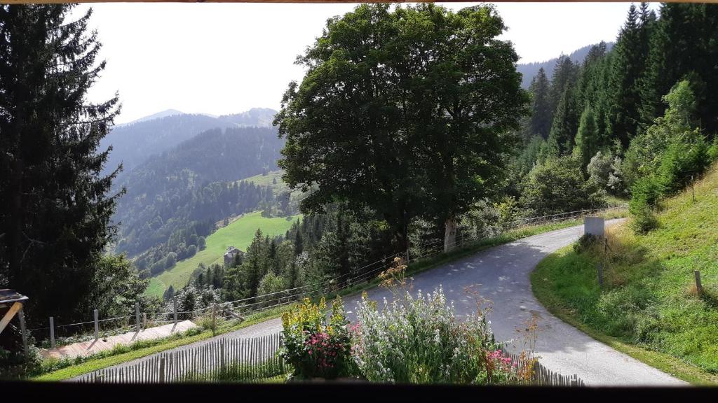 Príroda v okolí horskej chaty