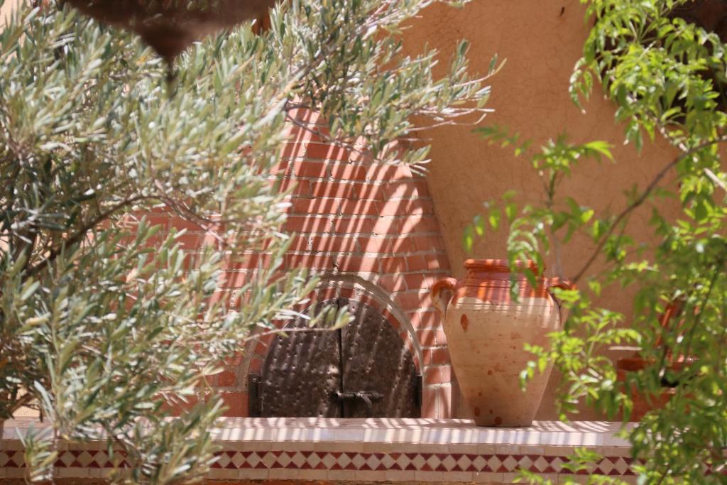 Zahrada ubytování Riad L'Emir