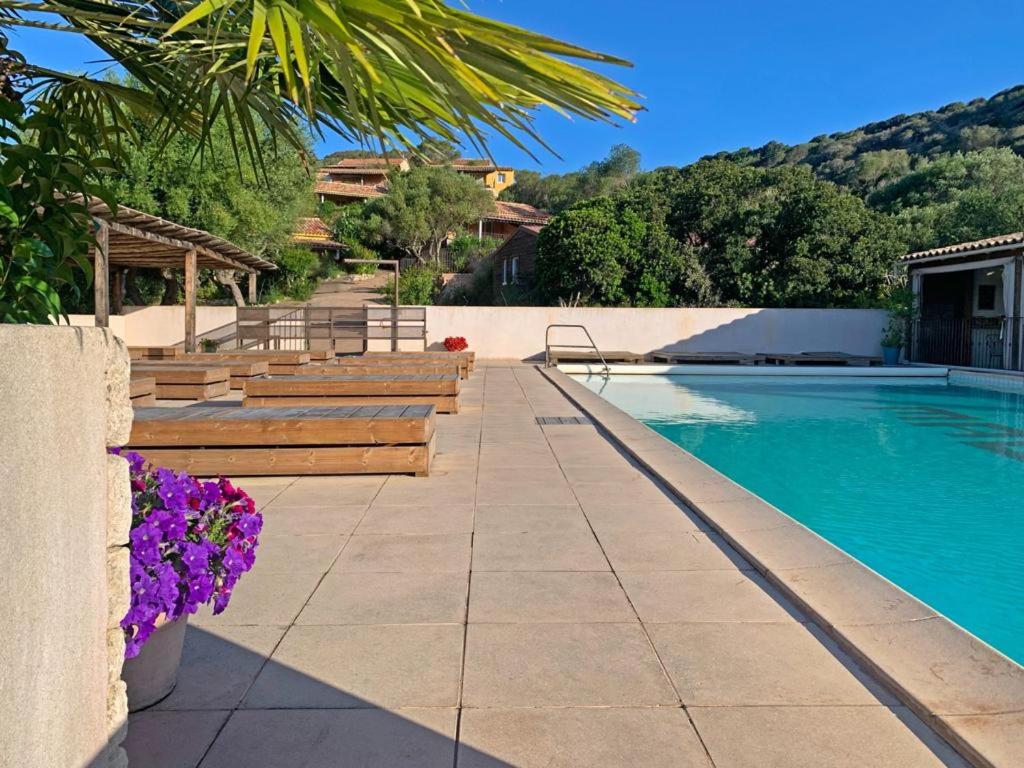 a swimming pool with wooden benches and purple flowers at Résidence Maora Village in Bonifacio