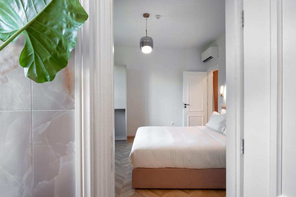 雅典的住宿－The Aeolian，一间卧室设有床铺和大型绿色植物