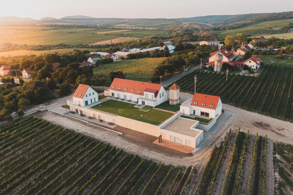 - une vue aérienne sur une grande maison dans un vignoble dans l'établissement Apartmány Mušlovské Vinohrady, à Mikulov