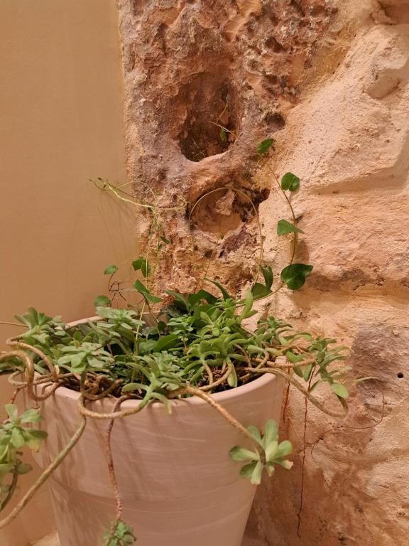 Fotografie z fotogalerie ubytování Ai cento scalini v destinaci Modica