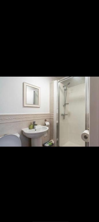 a bathroom with a toilet and a sink and a shower at Glasshoughton Platinum in Castleford