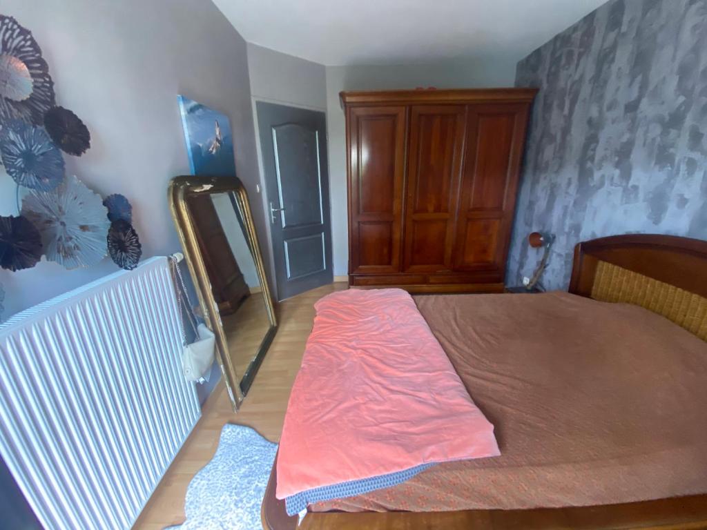 a bedroom with a large bed and a mirror at Agréables chambres dans maison suspendue in Saint-Étienne