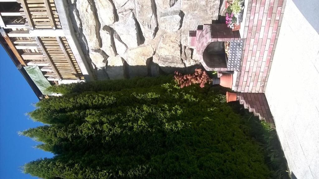 Vonkajšia záhrada v ubytovaní Haus Franziska