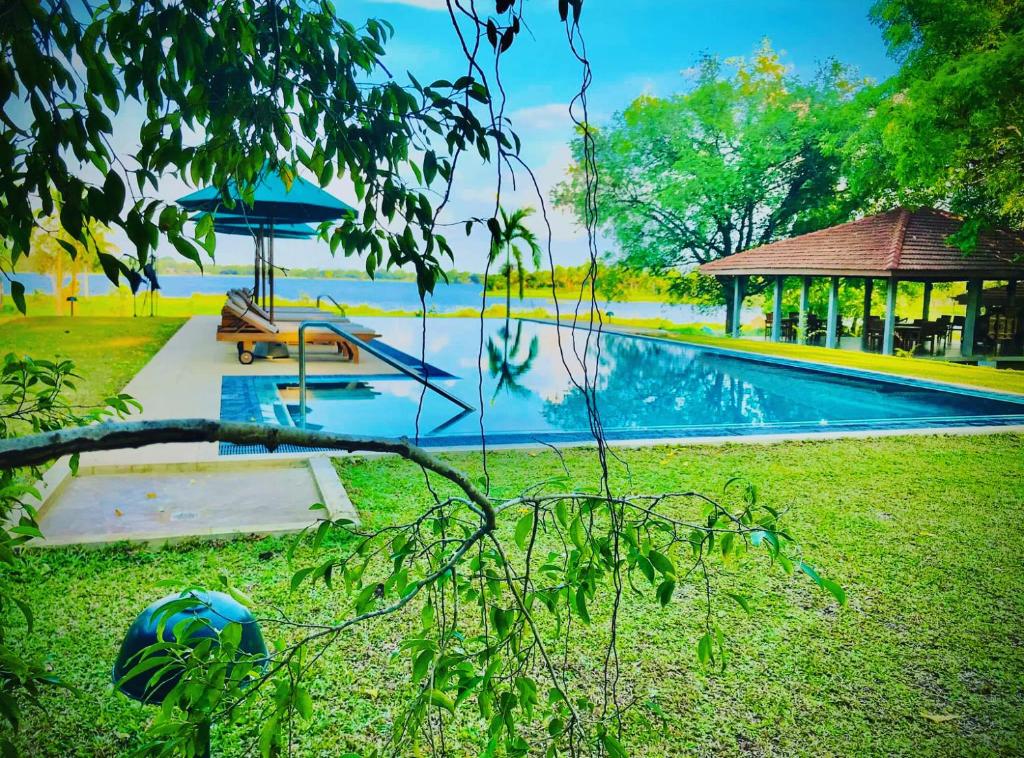 - une piscine dans une cour avec un kiosque dans l'établissement Gal Oya Lake Club, 
