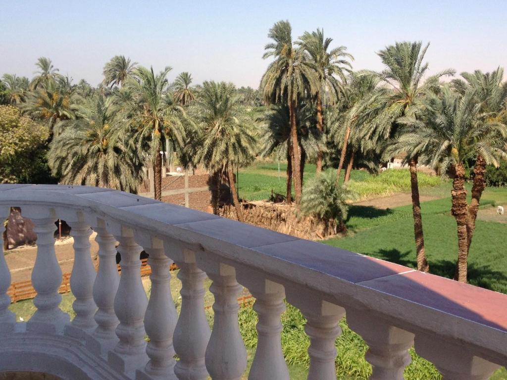 Zahrada ubytování Cleopatra Hotel Luxor