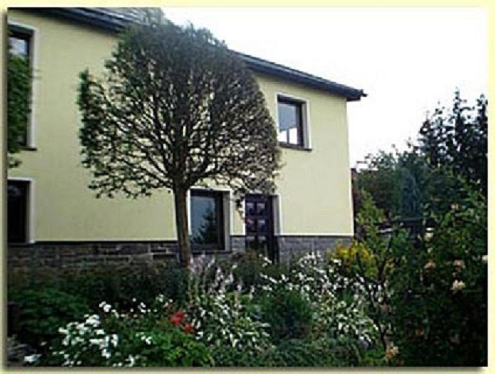 una casa con un árbol frente a un jardín en Ferienwohnung Riedl, en Klingenthal