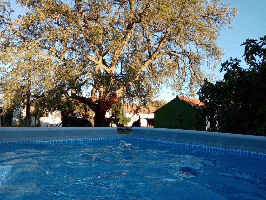 Swimmingpoolen hos eller tæt på Sobreirinha