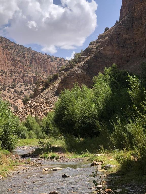 a river in the middle of a canyon at Gite Ifoulou Tassaout in Ifoulou