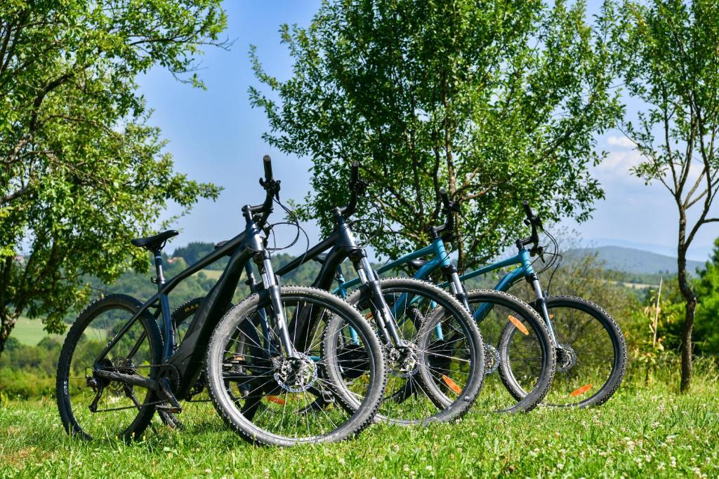 Jízda na kole v ubytování Wildernest Holiday Home nebo okolí
