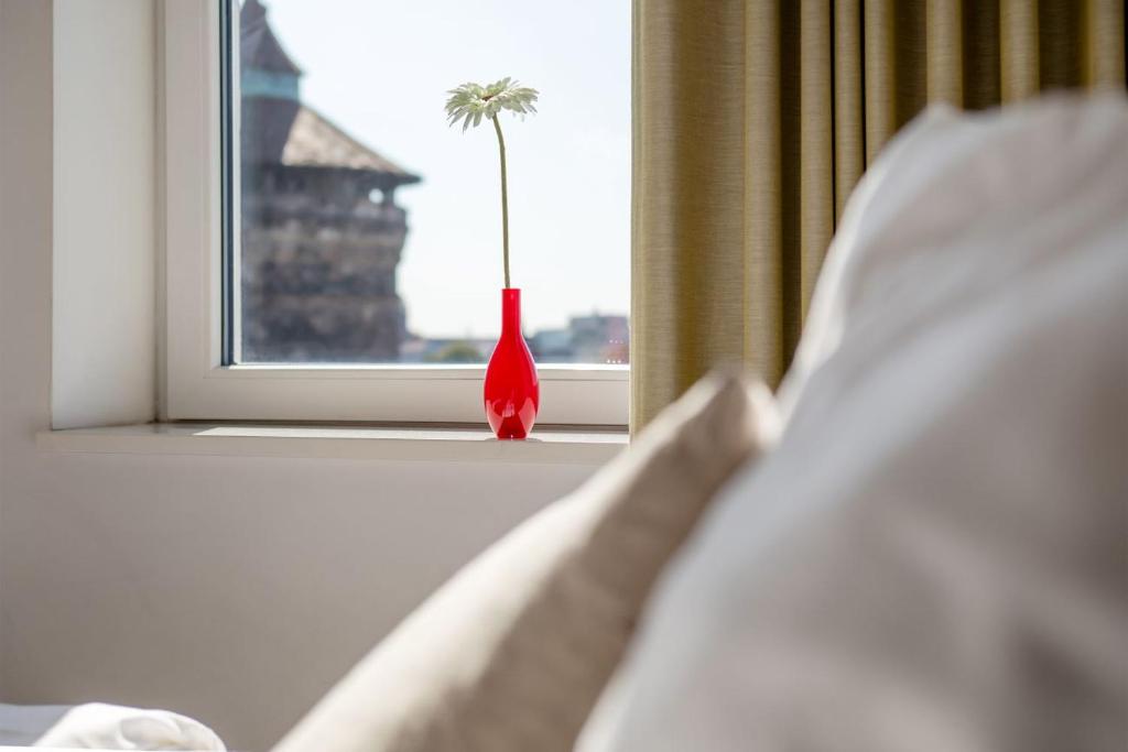 Brera Nürnberg - Resim 16