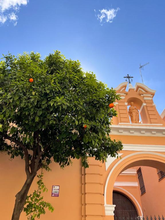 Legado Magdalena Hotel, Seville – Updated 2023 Prices