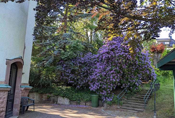 Photo de la galerie de l'établissement Villa Markersdorf, à Claußnitz