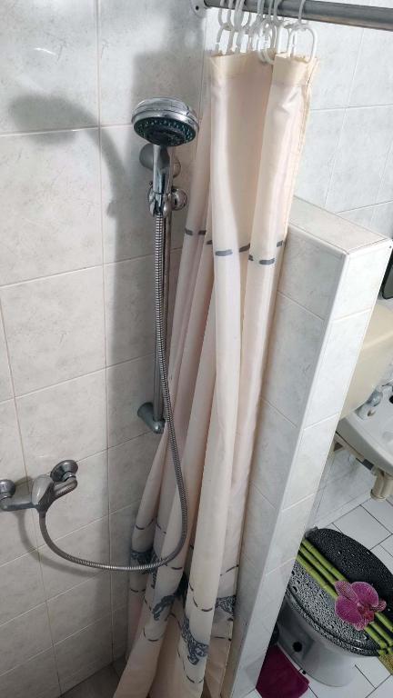 w łazience wisi zasłona prysznicową w obiekcie Apartmán Úlehla w Zlinie