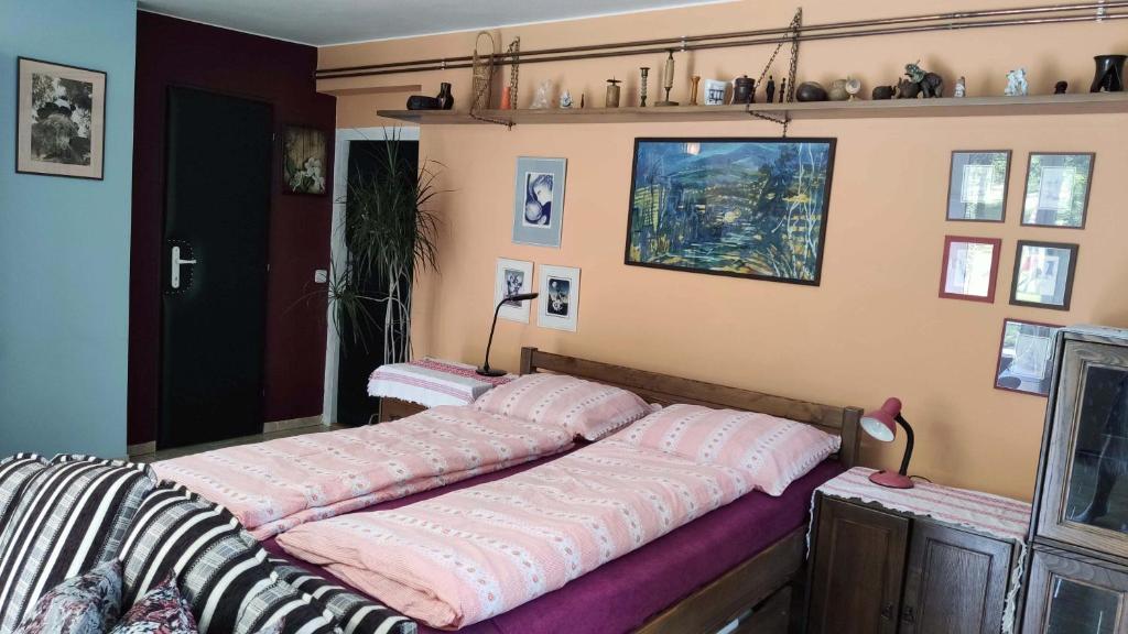 een slaapkamer met 2 bedden in een kamer bij Apartmán Úlehla in Zlín