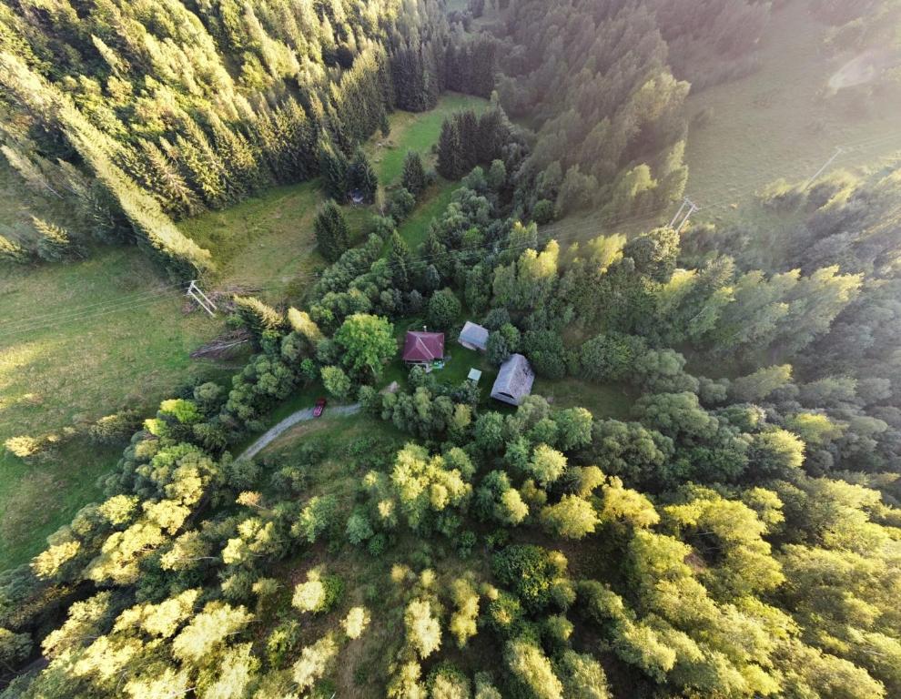 an aerial view of a forest with houses and trees at Căsuța din Vale in Râșca