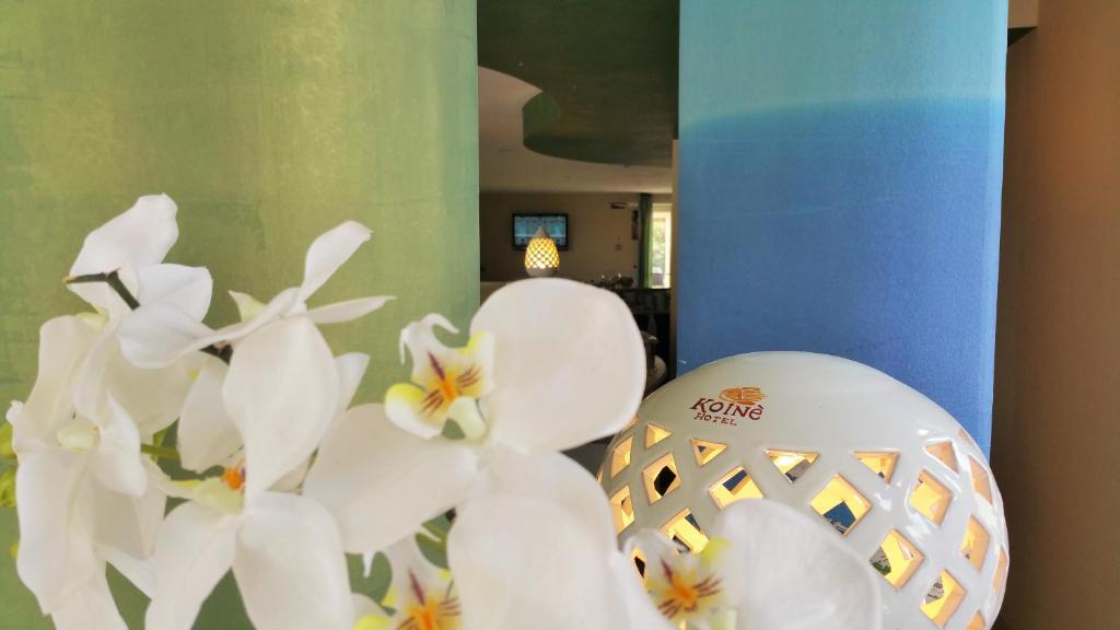 Fotografie z fotogalerie ubytování Hotel Club Koiné v destinaci Otranto