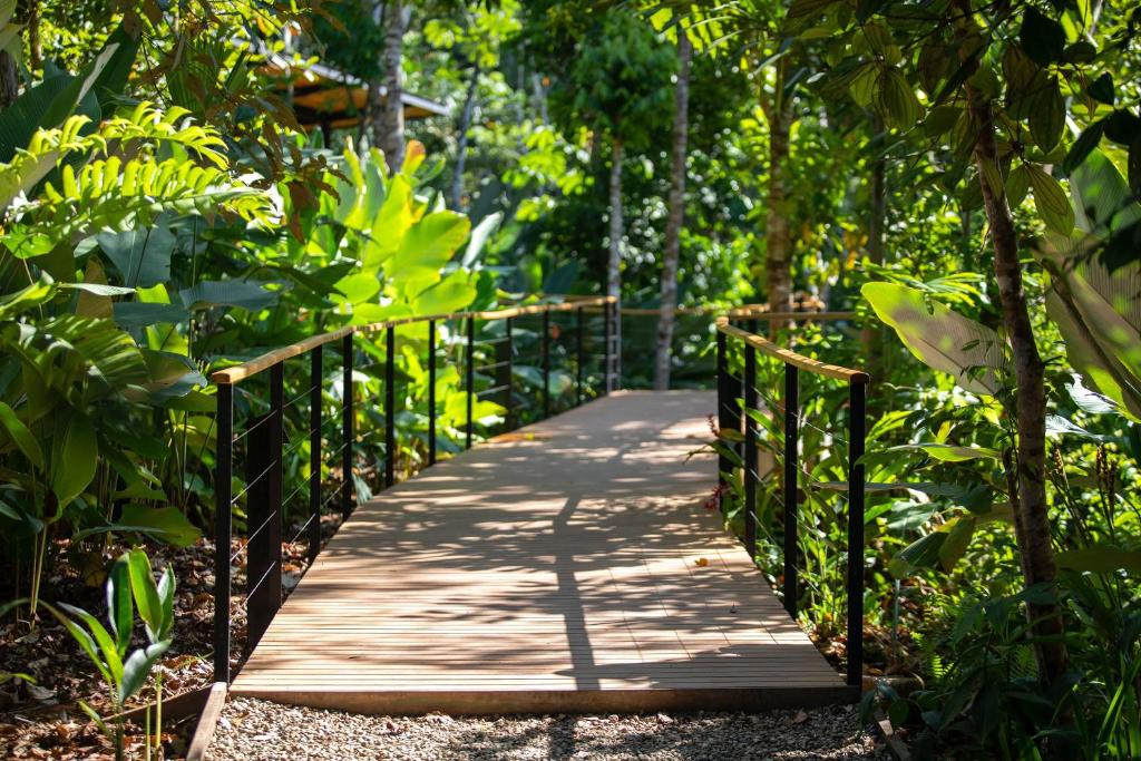 Zahrada ubytování El Remanso Rainforest Lodge