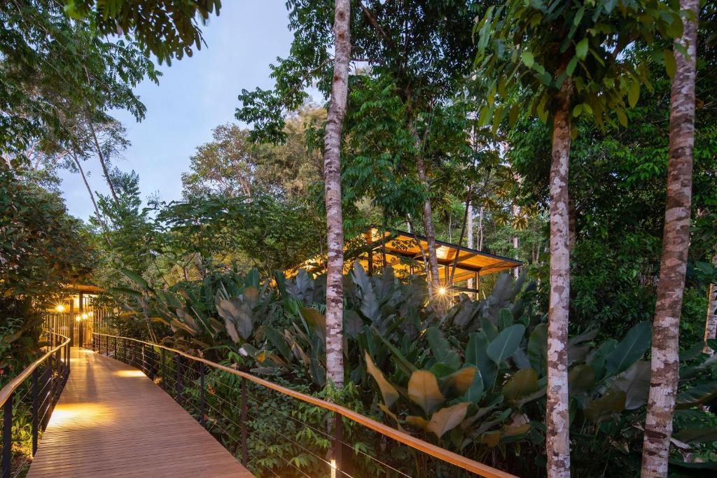 Zahrada ubytování El Remanso Rainforest Lodge