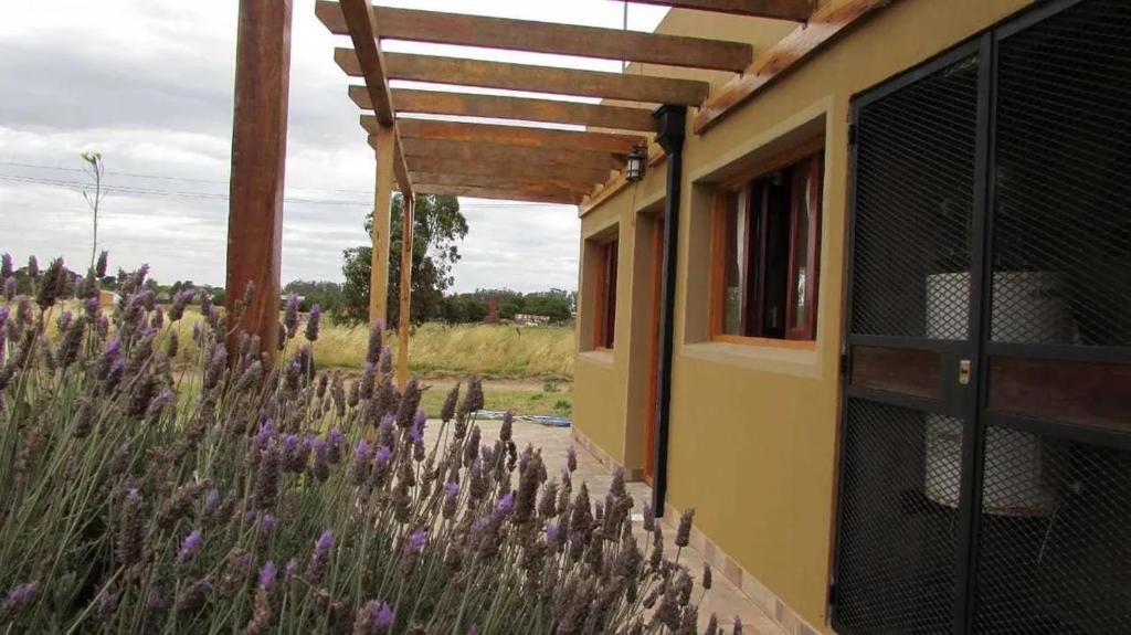 Casa parque Necochea