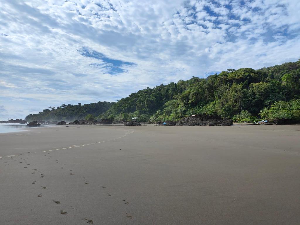 a beach with footprints in the sand and trees at Cabañas Arrecifes in El Valle