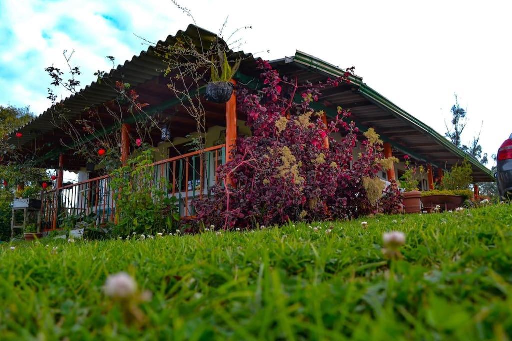 una casa con un ramo de flores delante de ella en Casa de Campo en San Pedro, en San Pedro