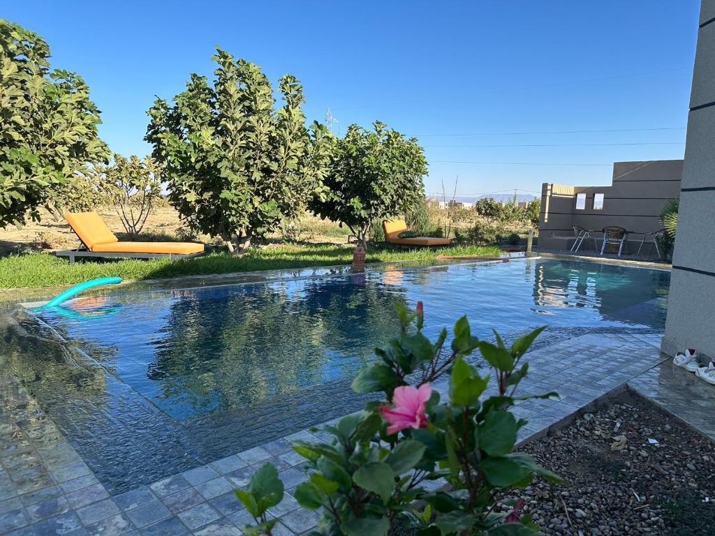 una piscina en un patio con 2 tumbonas en Ferme Marsa, en Guercif