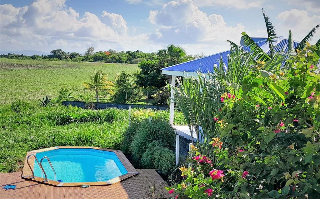 een zwembad midden in een tuin bij Location vacances Guadeloupe Gite et table d'hôtes Kaz a Klemence Anse-Bertrand in Anse-Bertrand