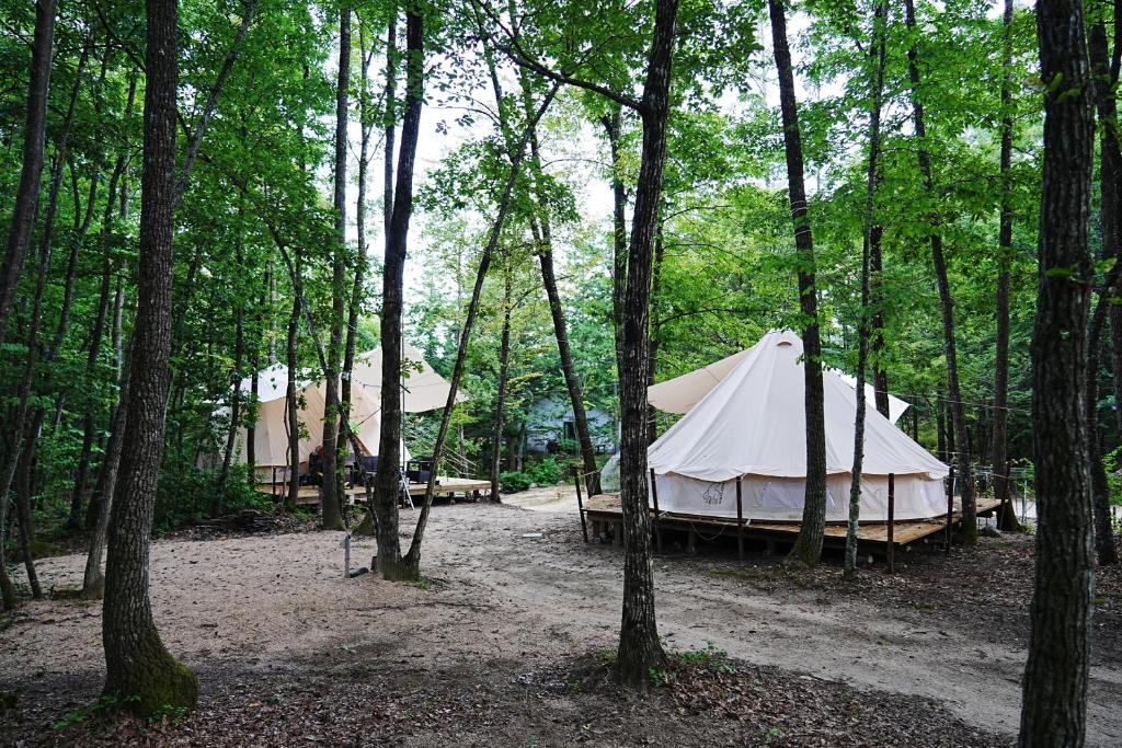 a tent in the middle of a forest with trees at Glamping Azumino BASE ポレキャン in Aoki-gemi