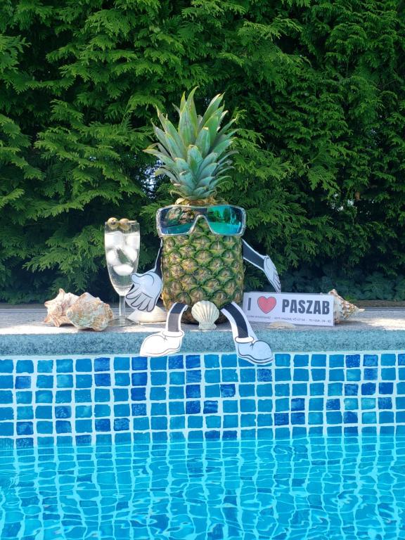 a pineapple wearing sunglasses sitting next to a swimming pool at Dura Vendégház in Paszab
