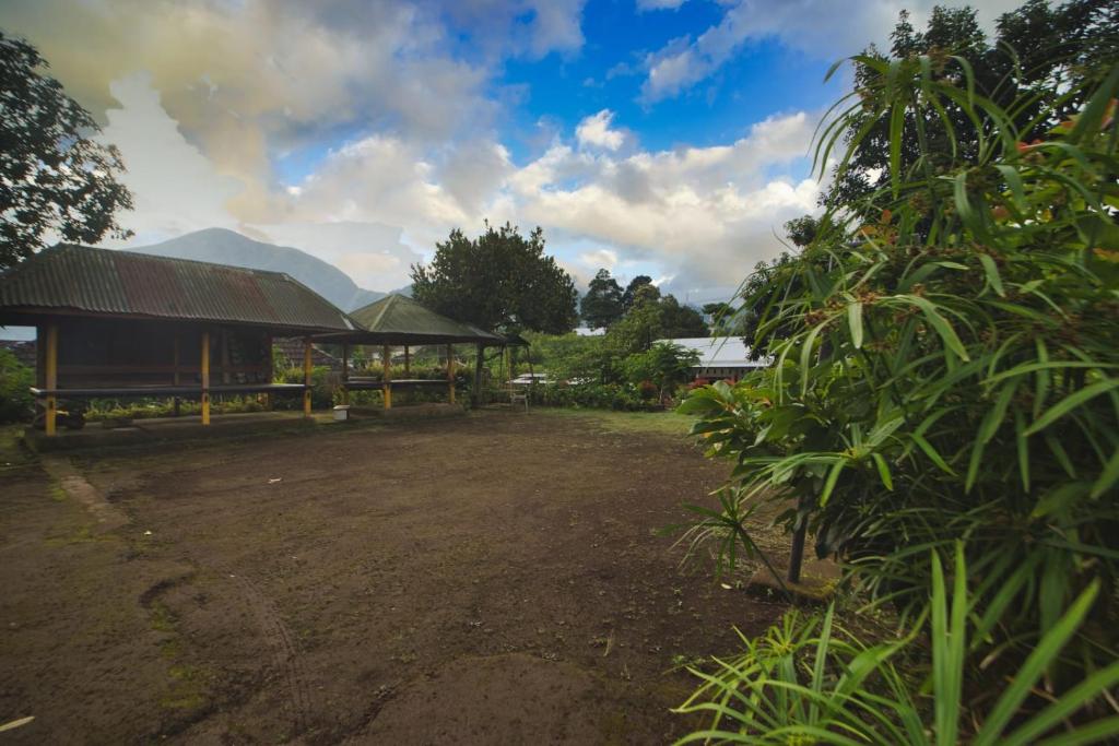 Zahrada ubytování Tresno Sembalun Rinjani